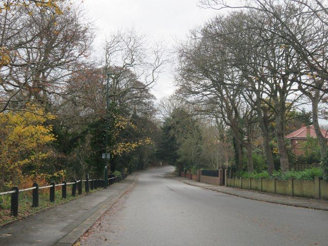 Tree-lined Victoria Terrace in Saltburn on an autumn day